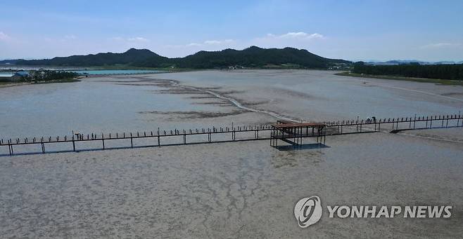 한국의 갯벌 [연합뉴스 자료사진]