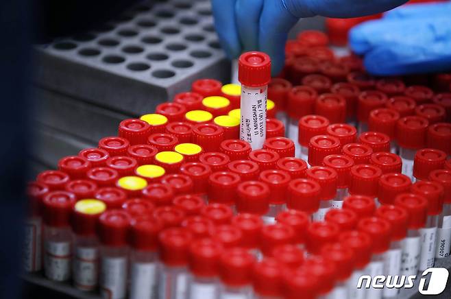 보건소 의료진이 채취한 검체를 정리하는 모습. /뉴스1 © News1