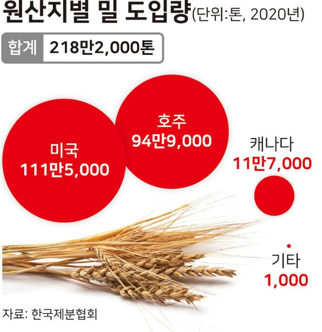 원산지별 밀 국내 도입량. 그래픽=강준구 기자