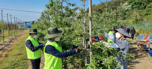 ⓒ농협중앙회 강원지역본부