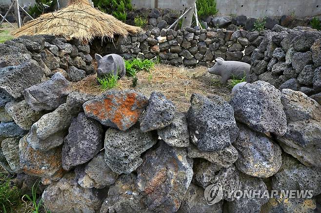 돗통시 [연합뉴스 자료사진]