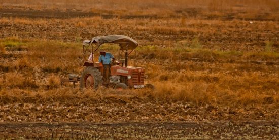 인도네시아가 팜유 수출을 중단한 데 이어 인도가 밀 수출을 통제하는 등 식량 보호주의가 확산하고 있다. 사진은 기사 중 특정 표현과 무관. [이미지출처=픽사베이]