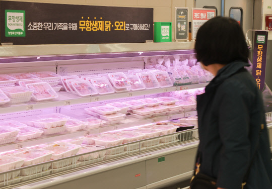 지난 3일 서울 시내 대형마트의 닭고기 판매대 모습. <연합뉴스>