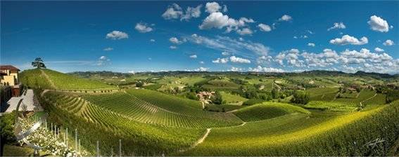 코르데로 디 몬테제몰로 갓테라가 나오는 산 꼭대기 삼나무 아래 밭과 나머지 포도원 전경.