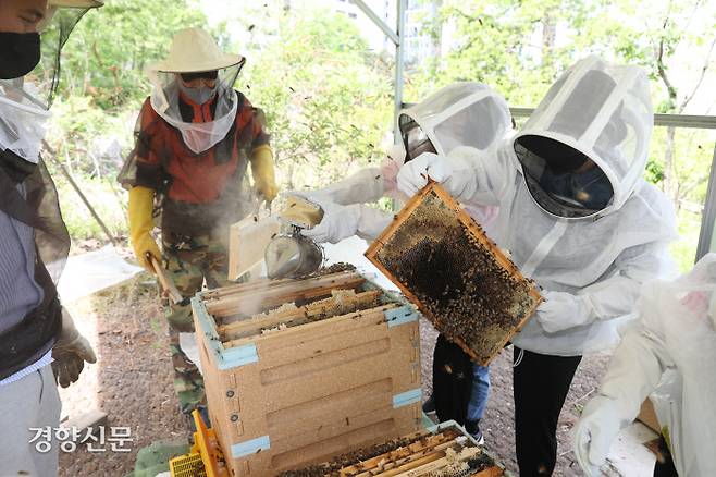 서울 관악구가 진행하는 ‘양봉교실’ 참가자들이 방충복을 입고 지난 11일 벌통에서 벌집을 꺼내 여왕벌이 있는지, 산란할 공간이 부족하지는 않는지 등을 살펴보고 있다. |관악구 제공