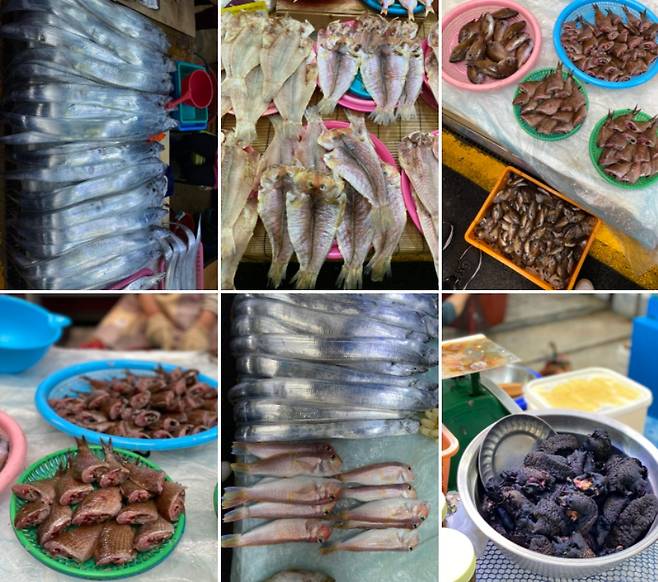 갈치, 옥돔, 자리돔, 군소 등 다양한 생선을 팔고 있는 매일올레시장