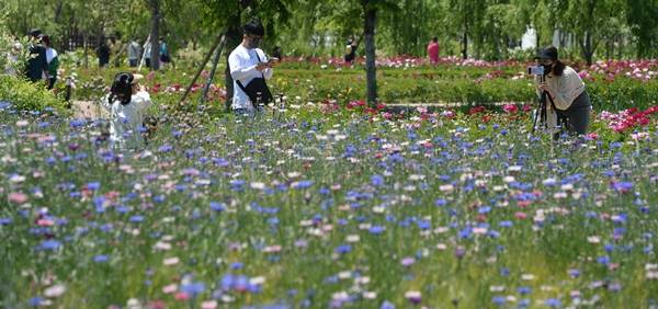 화요일은 한낮 기온이 27도까지 올라가는 등 따뜻하지만 일교차가 여전히 클 것으로 전망된다. 사진은 지난 15일 경남 거창군 남상면 거창창포원을 찾은 방문객들. /사진=뉴스1