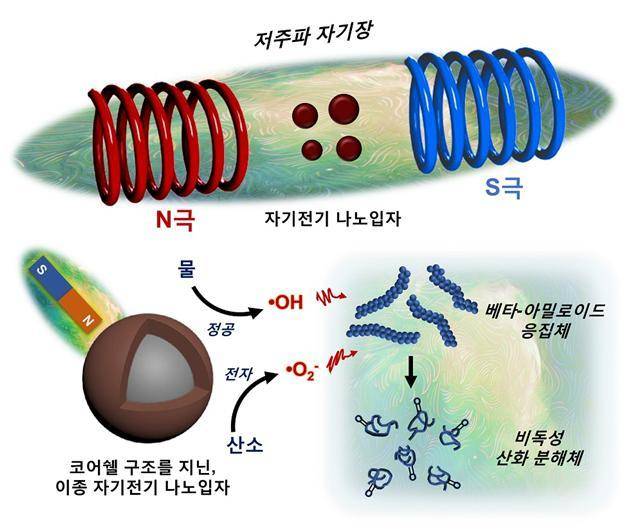 [대전=뉴시스] 저주파 자기장에 반응해 들뜬 상태의 전하운반체를 형성, 베타-아밀로이드 응집체를 분해하는 자기전기 나노입자 모식도. *재판매 및 DB 금지