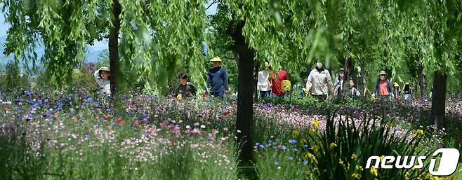 화창한 봄 날씨를 보인 15일 경남 거창군 남상면 거창창포원을 찾은 방문객들이 꽃구경을 하고 있다. (거창군 제공) 2022.5.15/뉴스1