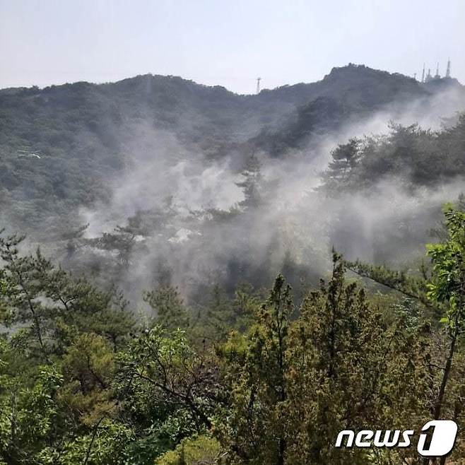 산불 현장 모습.(경기도소방재난본부 제공)© 뉴스1