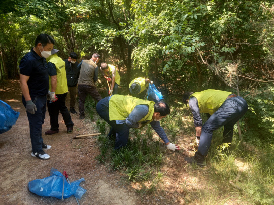 환경정화. 사진=동문1동 제공