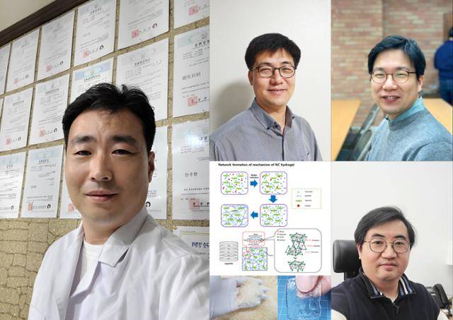 사진 왼쪽부터 위 시계방향으로 ㈜테라그린 김윤섭 연구소장, 한남대학교 나양호 교수, 배재대학교 이용하 교수, 강원대학교 김혁수 교수 [사진 = ㈜테라그린 제공]