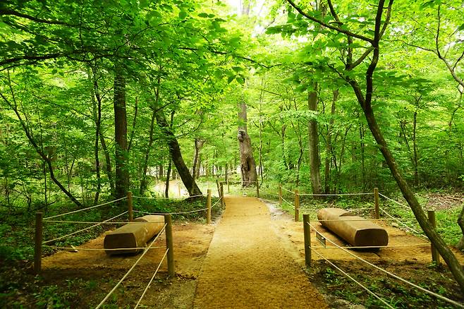 A resting area at Gwangneung forest path in Namyangju, Gyeonggi Province (CHA)