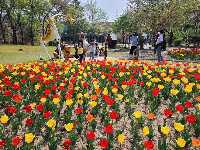 강원도립화목원 봄소풍 온 아이들