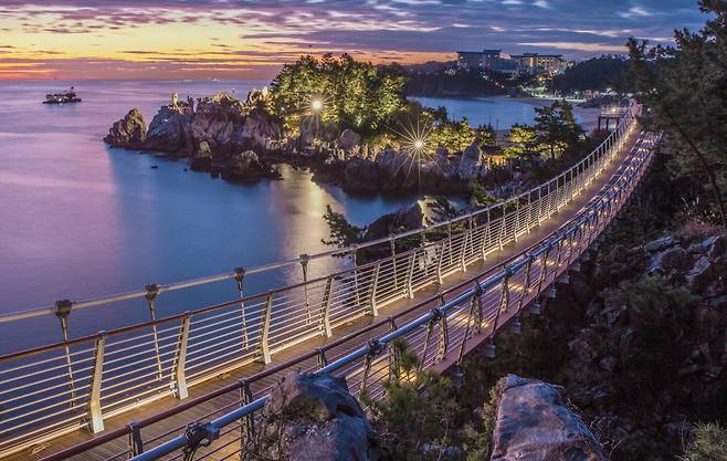 네이처로드 6코스 동해 추암 해상출렁다리