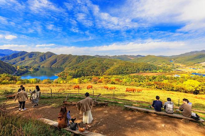 1코스 호수길 해피초원목장