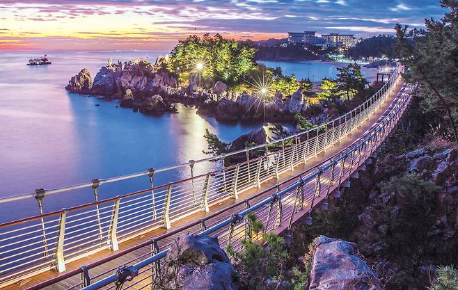 네이처로드 6코스 동해 추암 해상출렁다리