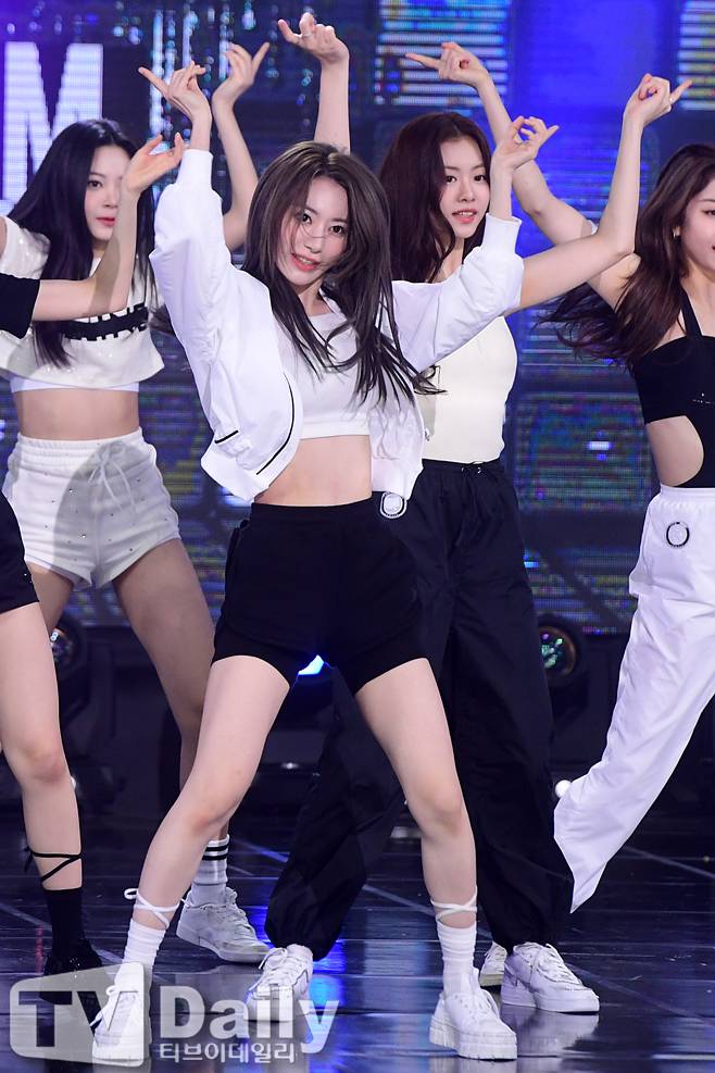 티브이데일리 포토