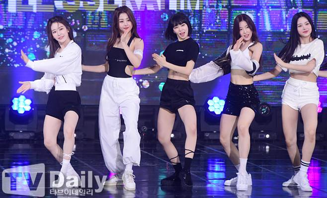 티브이데일리 포토