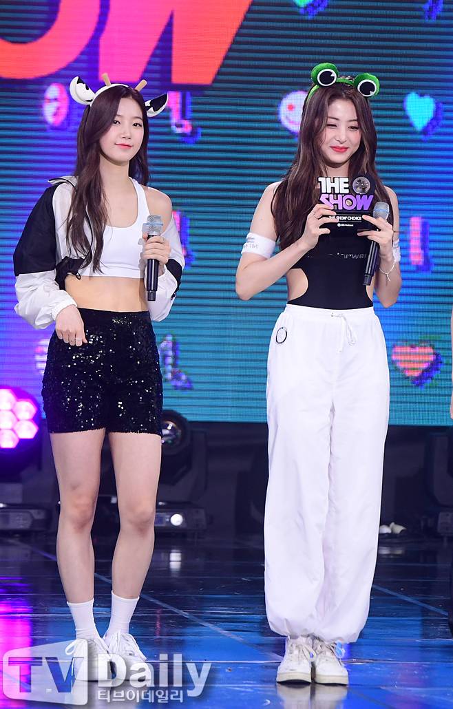 티브이데일리 포토