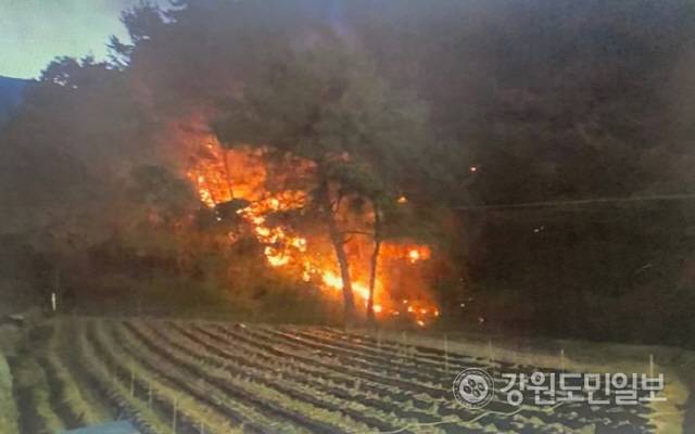 ▲ 원주 소초면 산불 [산림청 제공]