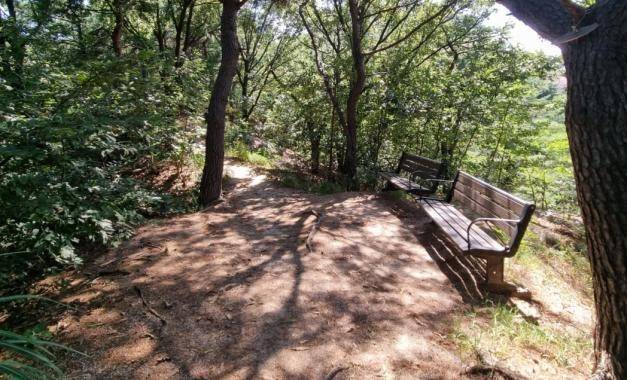 도시자연공원구역 협의매수 대상지(인왕산 도시자연공원구역 쉼터 부지) [서울시 제공. 재판매 및 DB 금지]