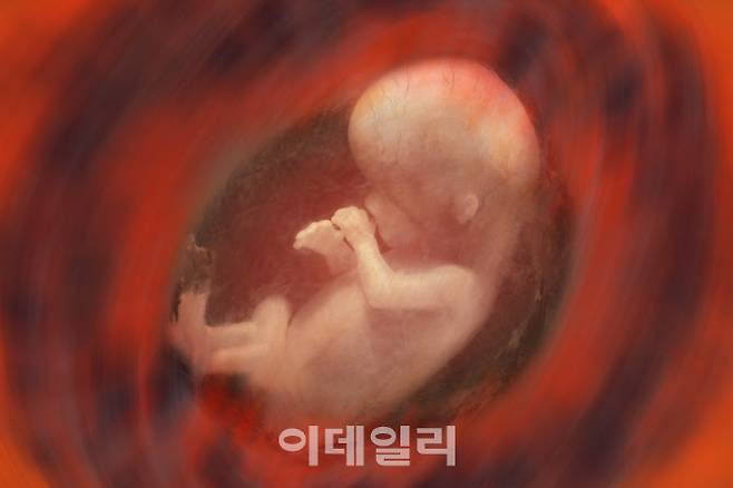 (사진=이미지투데이)