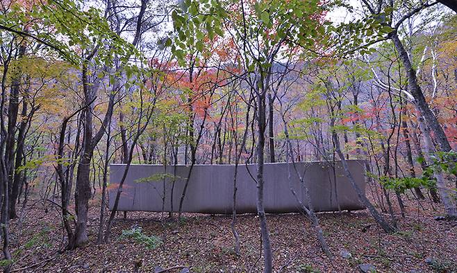 ‘자연하다’(On Nature) 프로젝트 일환으로 강원 인제 원시림에 캔버스가 세워진 모습.