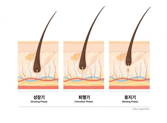 [이미지출처=게티이미지]