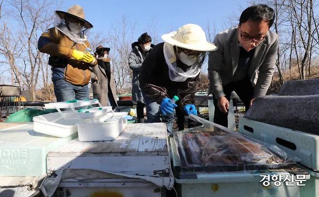 지난 2월22일 국립농업과학원 최용수 박사 (오른쪽 끝)와 농림축산검역본부 관계자들이 경북 구미 지역의 월동 꿀벌 피해를 조사하고 있다. 김창길 기자