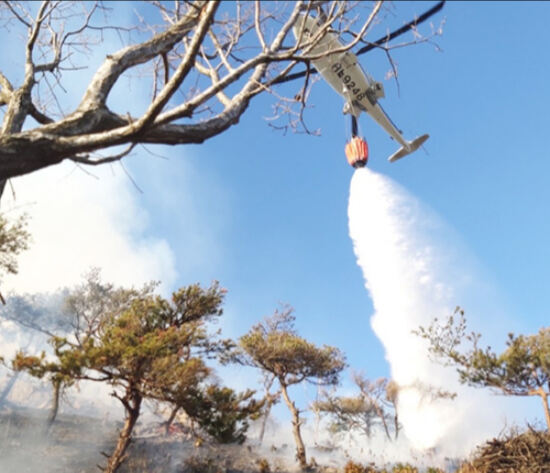 산불 진화 헬기가 포항 산불 현장에서 물을 투하하고 있다. 산림청 제공