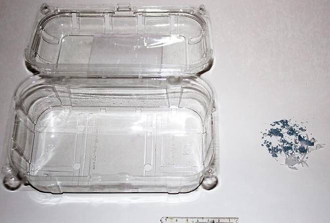 PHL7 효소가 분해한 PET 과일 용기  [Christian Sonnendecker 제공/ 재판매 및 DB 금지] photo@yna.co.kr