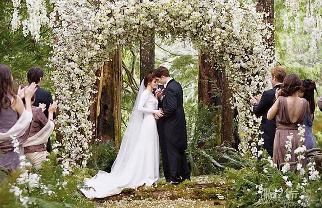 사진 : 웨딩21DB,&nbsp;브레이킹 던