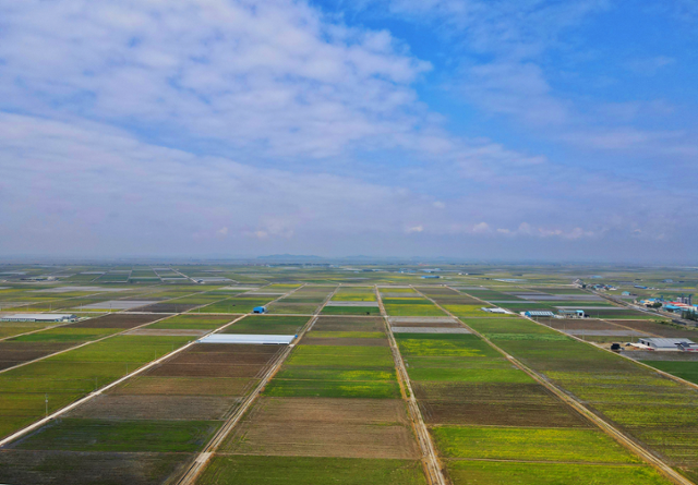 계화도 간척지 경관. 김시덕 제공