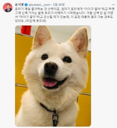 윤석열 대통령의 반려견 토리가 환하게 웃고 있다. /사진=윤석열 대통령 트위터