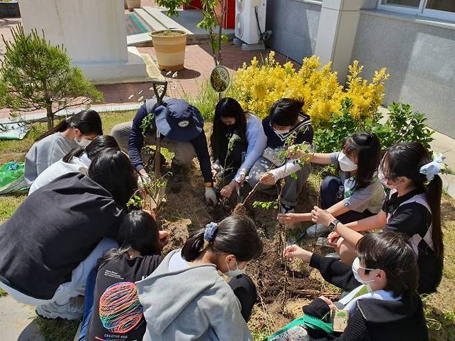 지난 16일 부구초등학교 재학생들이 ‘산불피해지역 청소년 힐링 프로젝트’의 실습교육으로 학교 정원에 산벚나무를 식재하고 있다.