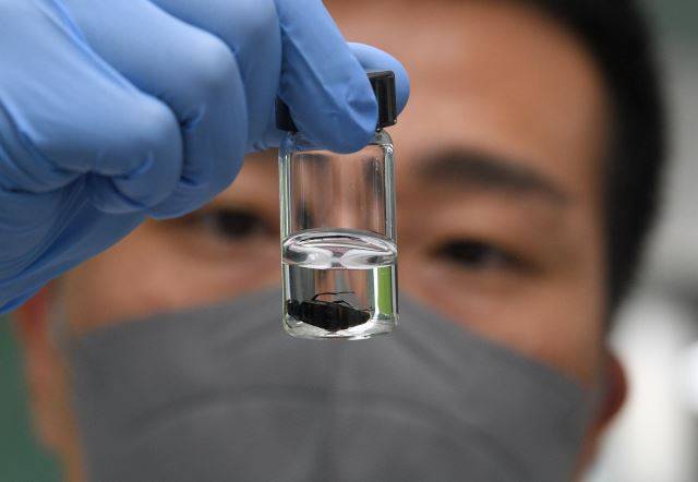 지난 19일 충남 아산 경찰수사연구원 법곤충감정실에서 오대건 보건연구사가 딱정벌레 샘플을 들여다보고 있다. 국내에선 사건 해결을 위해 파리 외에도 딱정벌레, 반날개 등에 대한 데이터베이스를 축적해 나가는 중이다. 아산=최현규 기자