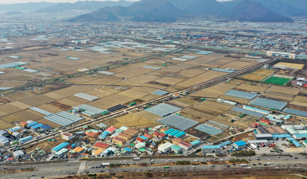 부산 강서구 대저동 부산연구개발특구(첨단복합지구) 조성 예정지. 국제신문 DB