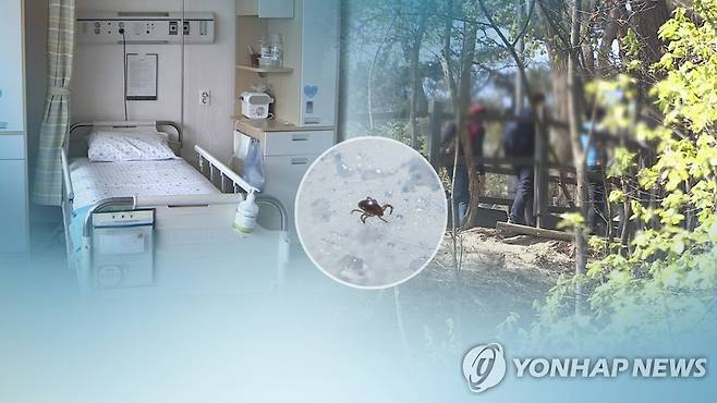 진드기 매개 SFTS 환자 발생…"야외활동시 주의" (CG) [연합뉴스TV 제공]