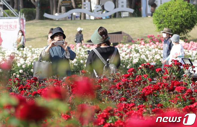 25일 오후 울산 남구 울산대공원 장미원을 찾은 시민들이 활짝 핀 꽃들을 감상하고 있다. 2022.5.25/뉴스1 © News1 조민주 기자