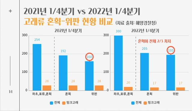 고래류 혼획과 위판은 고래고시 전보다 오히려 더 늘었다. 시민환경연구소 제공