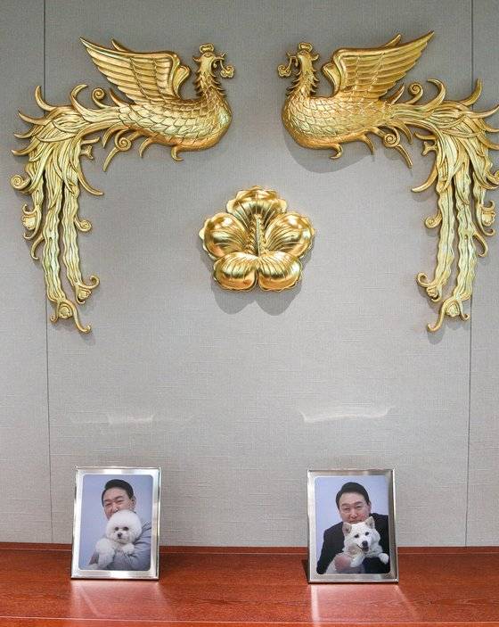 25일 용산 대통령실에 윤석열 대통령과 애완견 토리, 마리의 사진이 놓여 있다. [대통령실사진기자단]