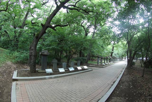 ▲자인계정 숲은 천연보호림으로 지정된 자연 숲으로 이팝나무, 말채나무, 느티나무, 참느릅나무 등이 군락을 이루고 있다.Ⓒ경산시