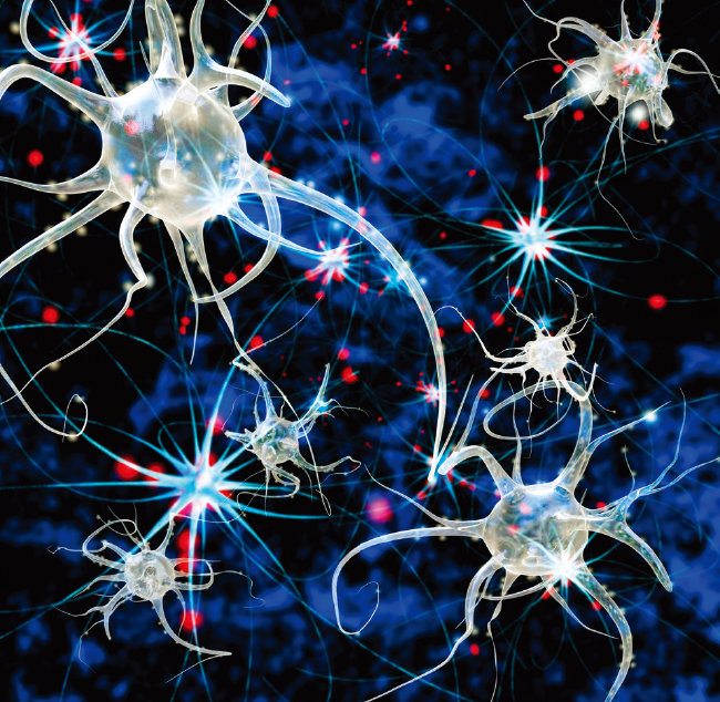 인간의 뇌는 태어난 순간부터 1000억 개의 뉴런이라는 신경세포로 구성돼 있다. [GETTYIMAGES]