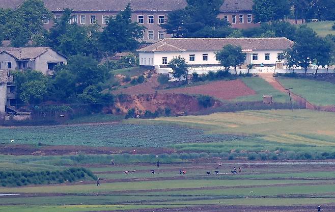 26일 오전 오두산전망대에서 바라본 북한 개풍군 관산반도 마을에도 모내기가 한창이다. 뒤쪽 밭은 언제 수해를 입은 건지 땅이 움푹 꺼져 있다. 강정현 기자