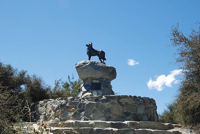 선한 목자 교회 옆에 있는 ‘양몰이 개’동상, 개척시대에 인간들을 위해 헌신한 개들을 위해 세웠다.