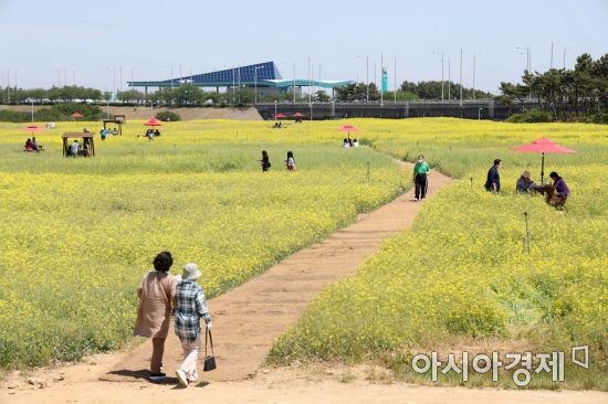 26일 인천공항 하늘정원에 만개한 유채꽃밭에서 시민들이 즐거운 시간을 보내고 있다. /문호남 기자 munonam@