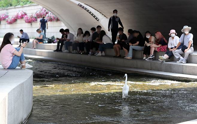 지난 23일 서울 청계천 모전교 아래에서 시민들이 더위를 식히고 있다./뉴스1