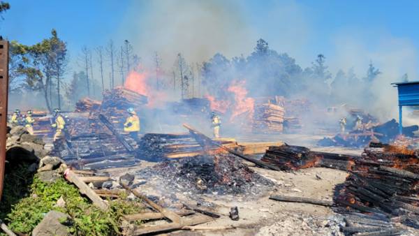 서귀포소방서 제공