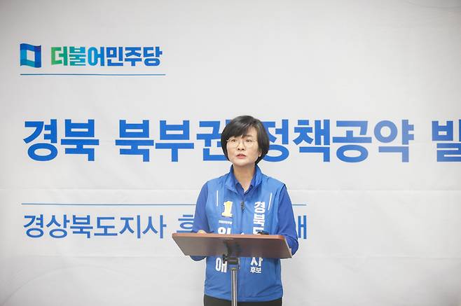 임미애 더불어민주당 경북지사 후보 *재판매 및 DB 금지
